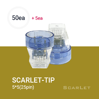 [스칼렛 전용 Tip] Scarlet Tip 50ea + 5ea